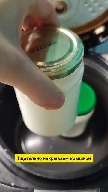 йогурт РЕУТЕРИ Reuteri В мультиварке рецепт по Dr. Berg #биох? смотреть онлайн