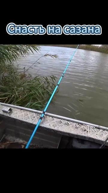 Снасть на сазана 🎣 #Рыбалка #Шортс #Лайфхаки #Советы #У