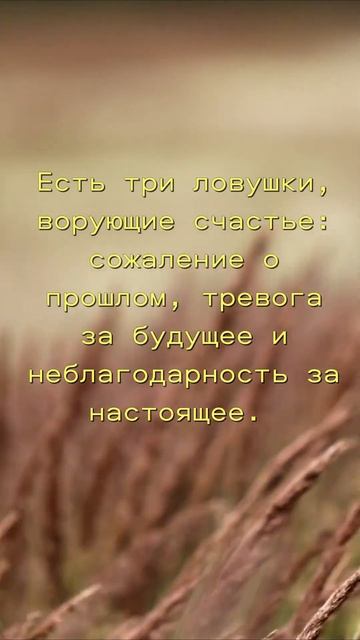 Есть три ловушки... #жизнь #мотивация #мудрость смотреть онлайн