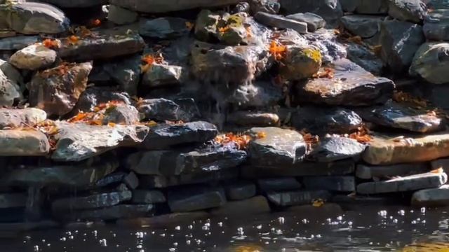 Пруд с водопадом | каскад в пруду