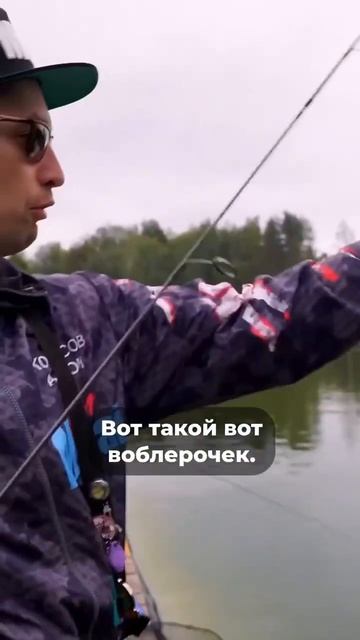 ⭐ ВОБЛЕРЫ "НЁРО-НЁРО" | ПАССИВНАЯ ФОРЕЛЬ ⭐ #jpsnasti #японс? смотреть онлайн