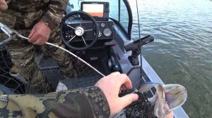 Рыбалка, троллинг и отводной поводок