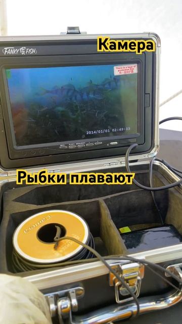 Рыбалка с подводной камерой. Сытые рыбки #бурятия #2024 #?