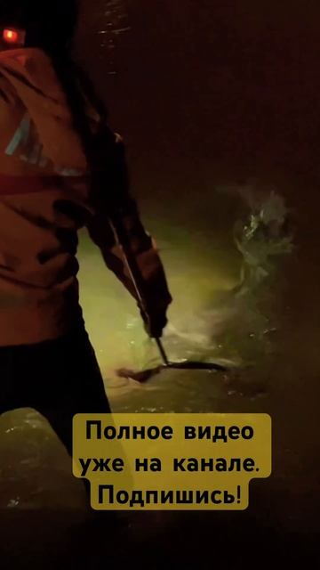 Гигантский белый амур! смотреть онлайн