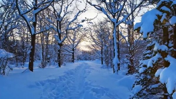 50 Classical Music Masterpieces for Relaxation & the Soul _ Beethoven, Mozart, C