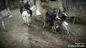 Узбекча прикол
