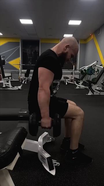 Бицепс с гантелями. (Молоточки сидя)#рукижимовика #benchpr смотреть онлайн