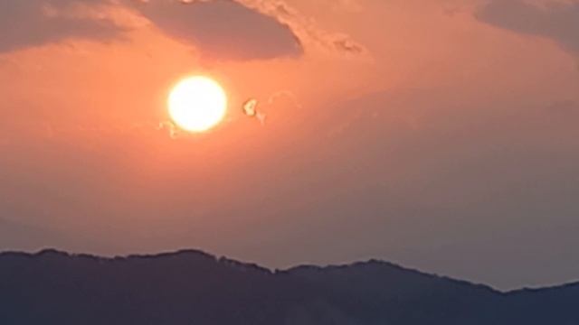 24 ноября 2021 г.