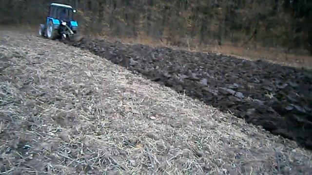 Трактор Беларус пашет мерзлое поле BelarusTractor plows a field of frozen #vseklevo #синийтрактор смотреть онлайн