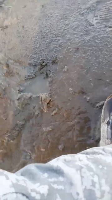 4,5 кг,река кемчуг, порвалась плетёнка смотреть онлайн