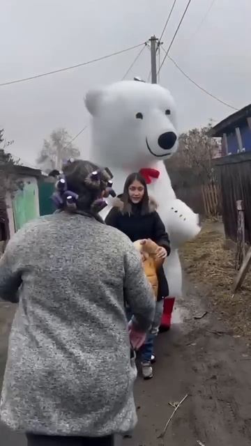 Теперь у Мишки есть друг 🐻❄️🙂 #Иркутск #белыймишк? смотреть онлайн
