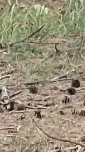 Севастополь аренда дома с бассейном смотреть онлайн