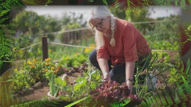 🔥 АГРОГОРОСКОП НА МАЙ 2025: Лунный календарь, который УДВОИТ ваш урожай! смотреть онлайн