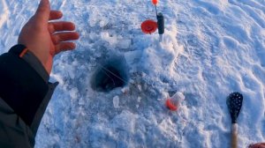 Лучшая снасть на леща зимой - это КОМБАЙН