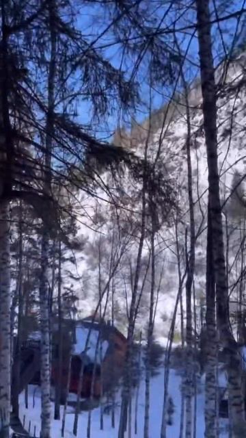 Алматы! Лесная сказка😻 смотреть онлайн