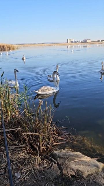 рыбалка Анапа, речка анапка не дают порыбачить смотреть онлайн
