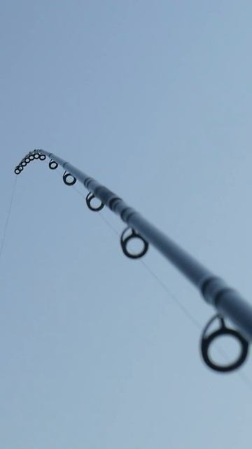 Ловля на фидер #Shorts смотреть онлайн