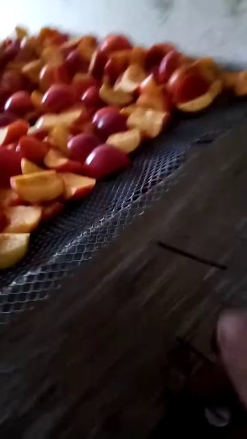 Овощесушилка самодельная смотреть онлайн