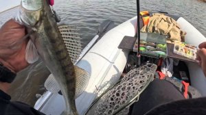 Major Craft Grand Soul, Daiwa Certate 19. Весенний выезд на судака 13.04.2024