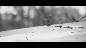 Golles - Дети перемен