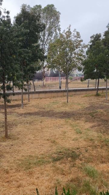 Супер, с утра дождик в городе Terrassa, Spain!!! смотреть онлайн