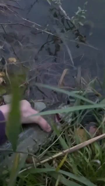 Твичинг осенью #fishing #pike #рыбалка #спиннинг смотреть онлайн