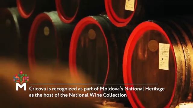 АРР АТО Гагаузия смотреть онлайн