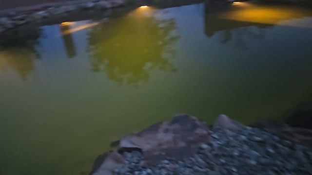 Плавательный водоем. Курск, видео от заказчика. смотреть онлайн