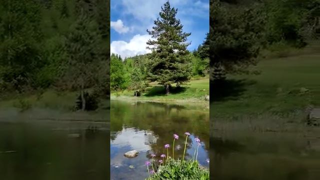 Красивое место в Грузии.