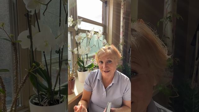 ТАРО прогноз - РАК. 24-30 Марта 2025. TAROT forecast - Cancer. 24-30 March 2025. смотреть онлайн