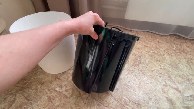 Мои комнатные цветы. Отремонтировала часы. Опять потеряла брюлик…