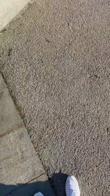 Чем закрыть открытый грунт и как разнообразить тротуа смотреть онлайн