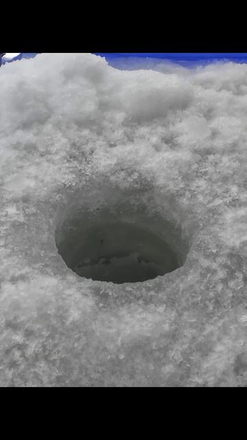 Дядя Володя профи=))) Рыбалка на карася со льда! смотреть онлайн