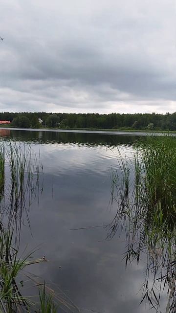 Рыбалка на Матырском водохранилище смотреть онлайн