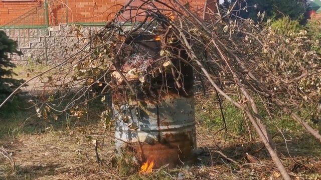 есть три вещи на которые можно смотреть вечно... смотреть онлайн