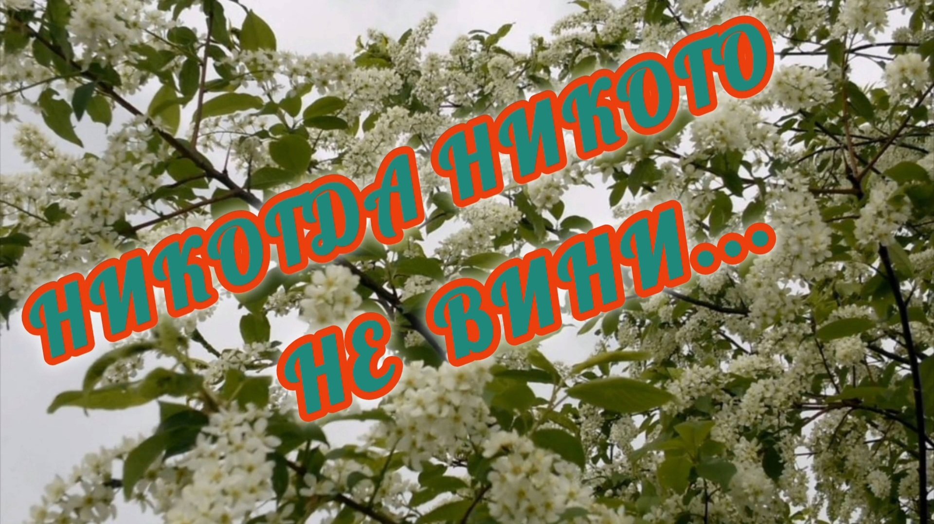 НИКОГДА НИКОГО НЕ ВИНИ...