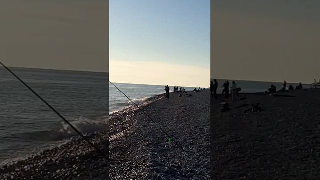 Сириус 04.12.2024г. смотреть онлайн