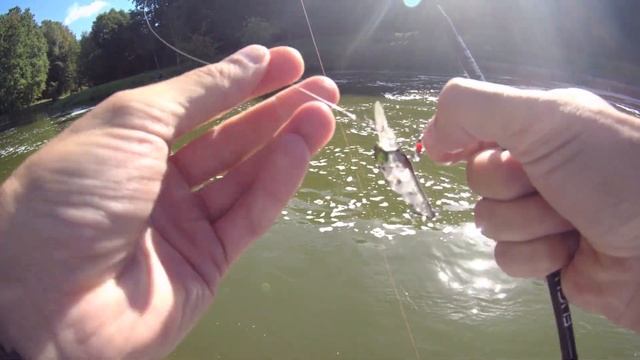 Твичинг и ОКУНЬ. Как поймать окуня на воблер, когда джи смотреть онлайн