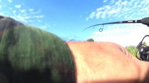 За щукой с Narval POKER на приманки виброхвост Relax Kopyto, блесн