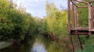 С сыном Ваней и комарами в бане у Ильи (Тайные Тропы), ч?