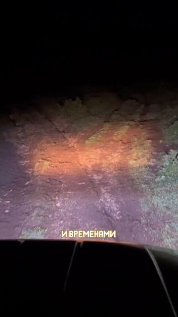 Даже не верится, что такое есть в России смотреть онлайн