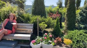 СУЛЬФАТ МАГНИЯ ДЛЯ РАСТЕНИЙ | Удобрение для роз, горте?