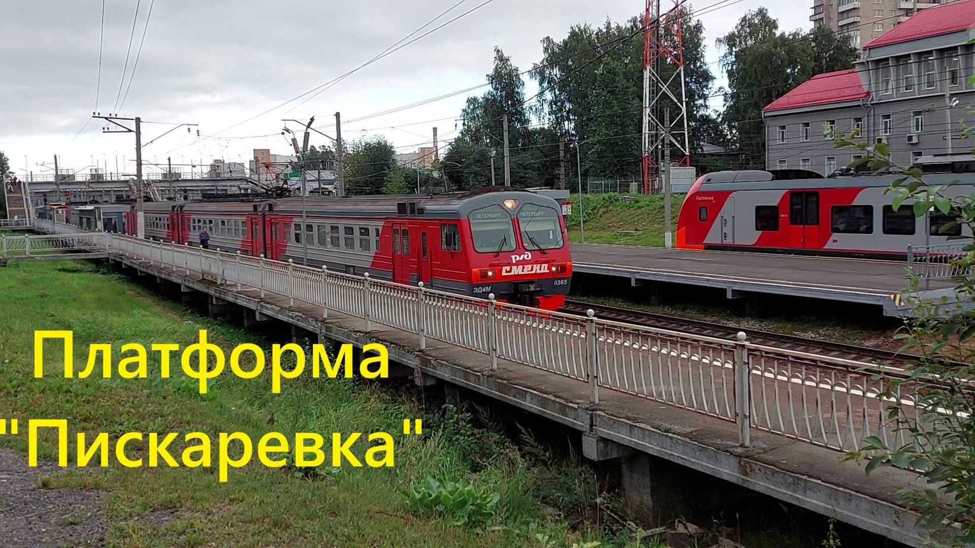 Электропоезд ЭД4М прибывает на платформу "Пискаревка" в Санкт-Петербурге и Ласточка передает привет