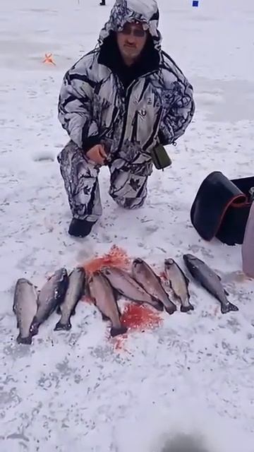 Щеглятьево!!! смотреть онлайн