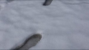 Ожившие памятники