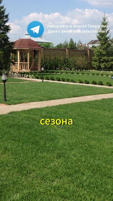 Забудьте про косилку — есть лучший способ! #огород #кр? смотреть онлайн