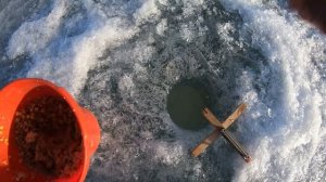 ЖИРНЫЙ КАРАСЬ НА КРЕСТЫ!!! АПРЕЛЬ 2025 г. ХАКАСИЯ.