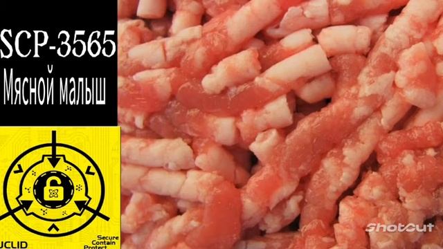 SCP-3565 - Мясной малыш смотреть онлайн