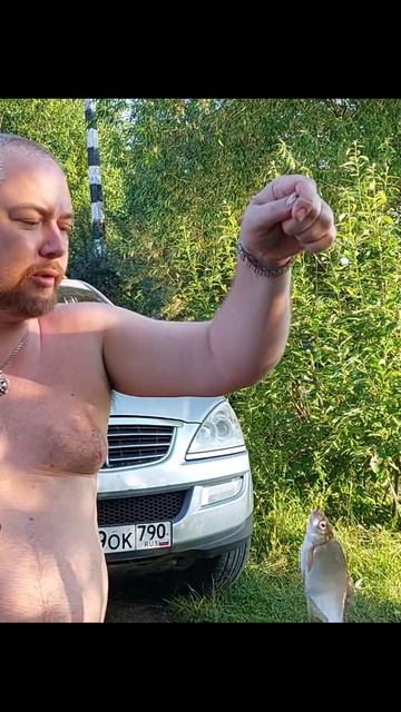 Рыбачим на Волге #рыбалка смотреть онлайн