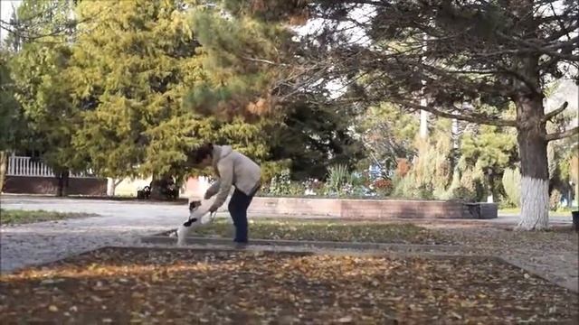 Девочка ПУША     5 месяцев     МАЙЛО + ШИЛА     12112017